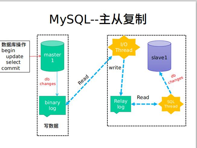 mysql复制整个数据库_复制数据库