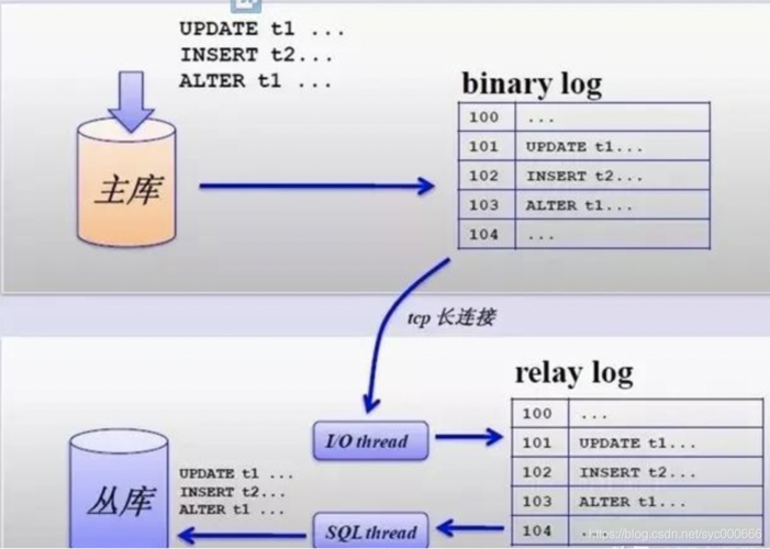 mysql复制整个数据库_复制数据库