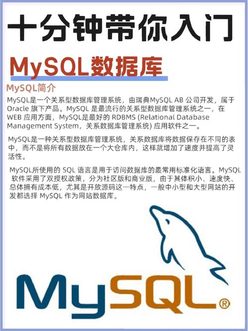 mysql数据库日期用什么不同_什么是“不同法人”？