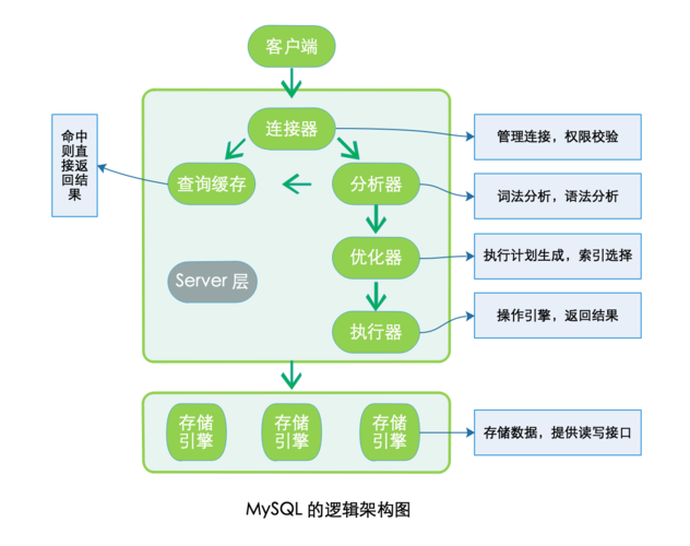 mysql数据库表怎么形成结构图_数据库逻辑结构图