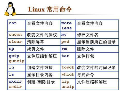 linux浏览器命令 _Linux操作系统常用命令速查