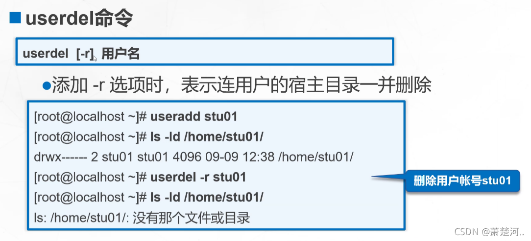 linux服务器网站目录权限_数据目录权限