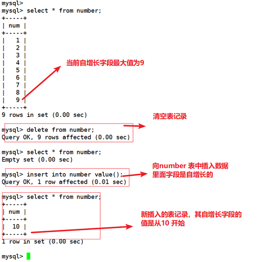 mysql 操作记录_查询操作记录