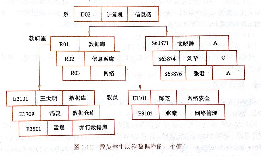 lovd数据库_数据库