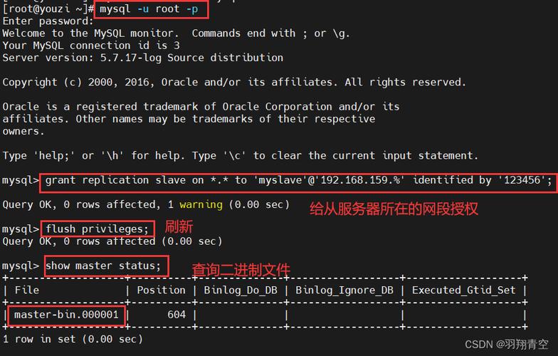 mysql服务器配置_MySQL配置