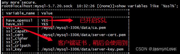 mysql数据库开启ssl_开启/关闭SSL