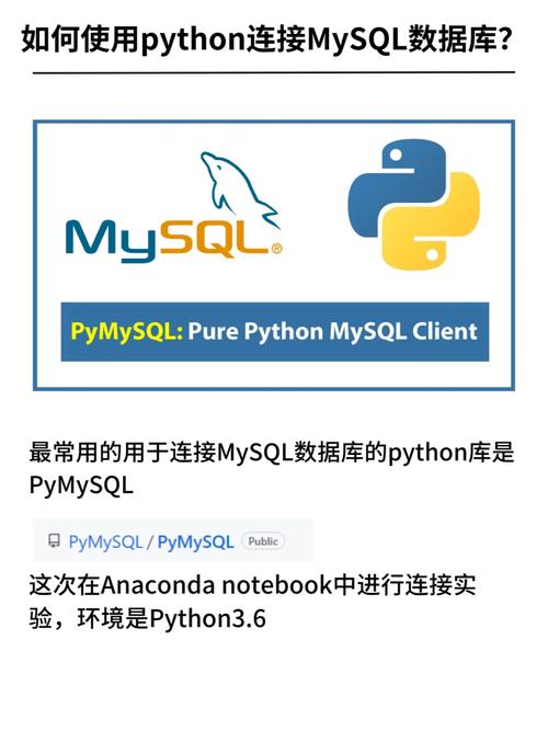 mysql database_MySQL.DataBase