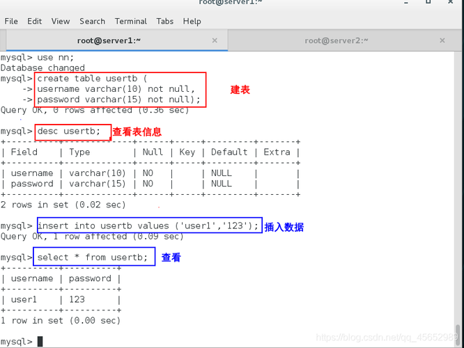 linux mysql复制数据库_复制数据库