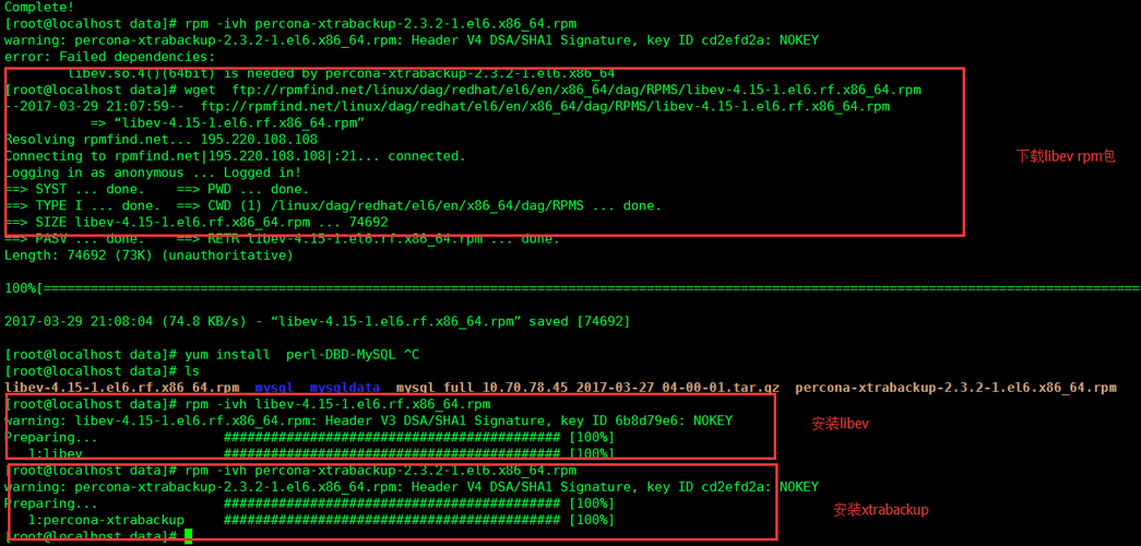 mysql数据库drop恢复_恢复到自建MySQL数据库