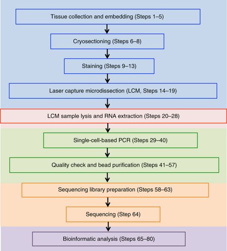 mysql seq_使用RNASeq Analysis Based on STAR流程