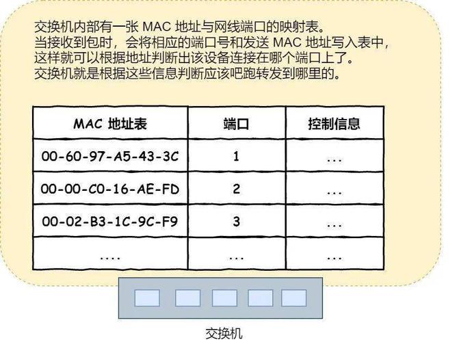 时间服务器的端口号是什么意思