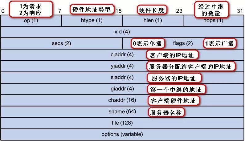 dhcp服务器提供给客户机什么配置