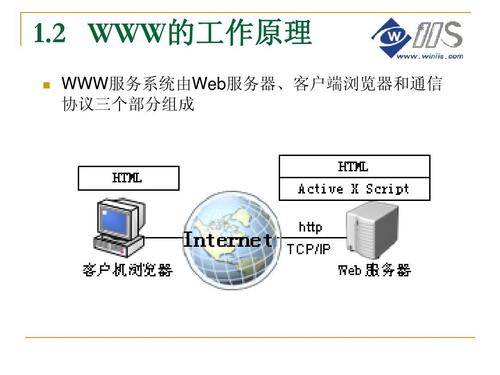 万维网服务器的类型是什么