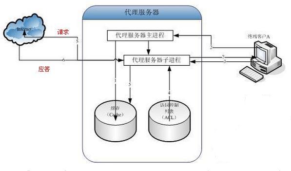 代理服务器的配置文件路径是什么