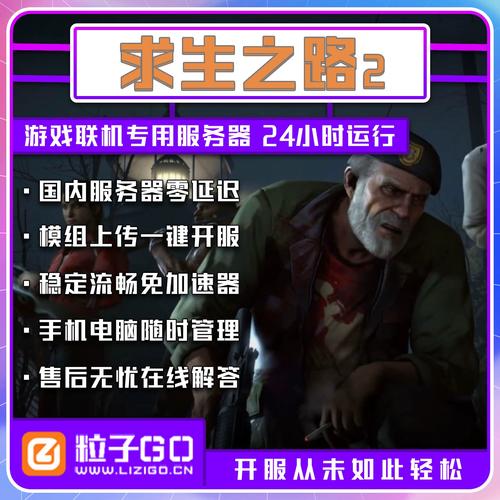 l4d2正版联机选什么服务器