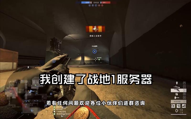 ps4战地1连什么服务器