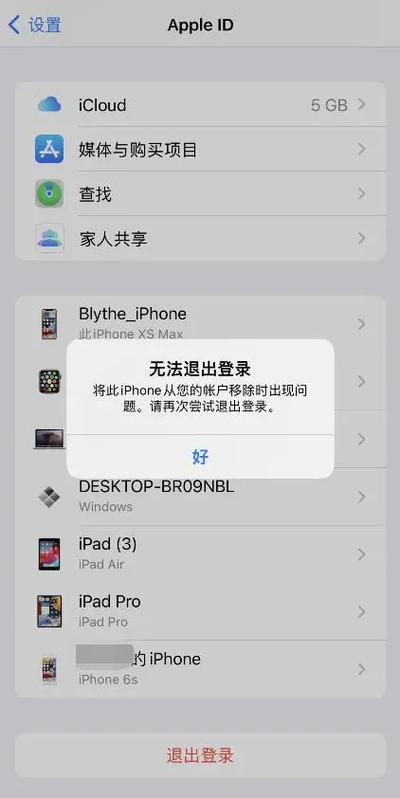 退出苹果id显示服务器错误是什么意思